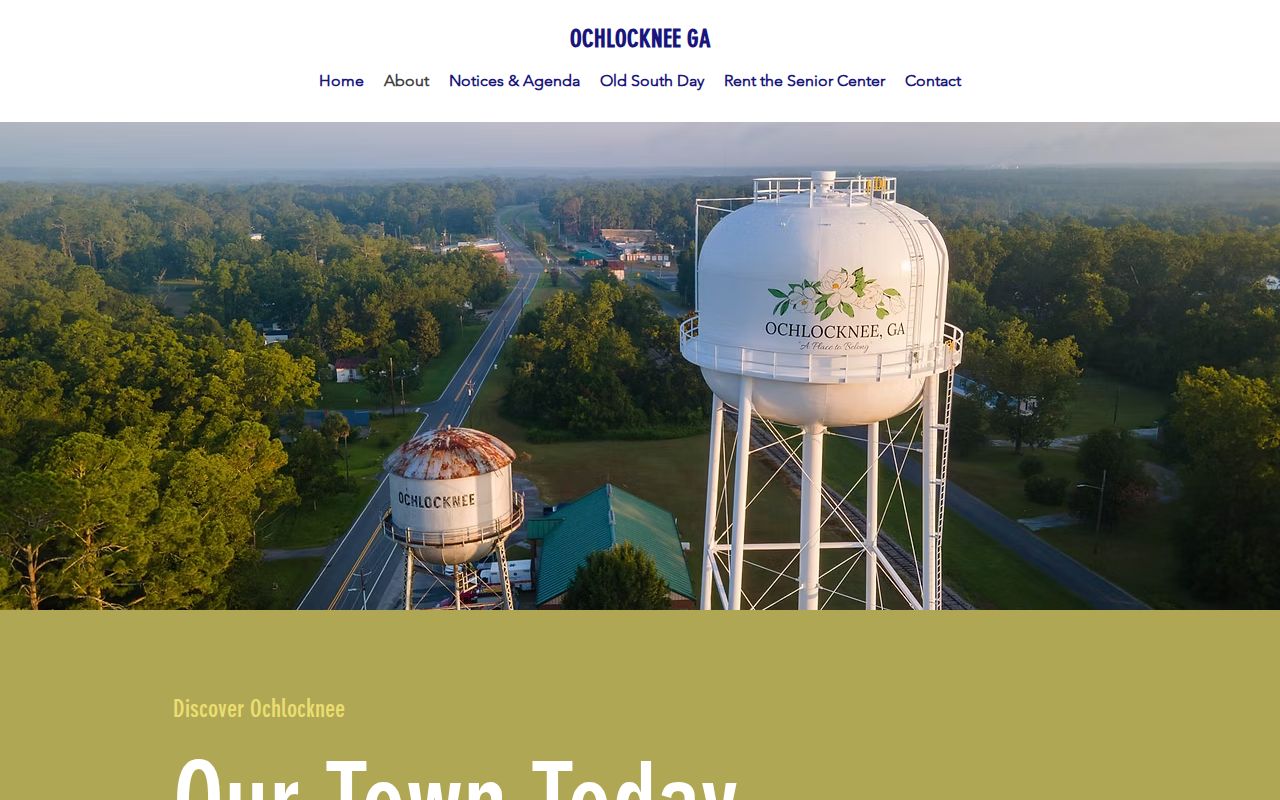 Ochlocknee court docket official history page
